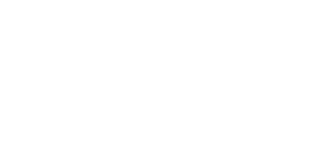 After Hours NZ | Premium Skate Shop — Skateboards & Accessories